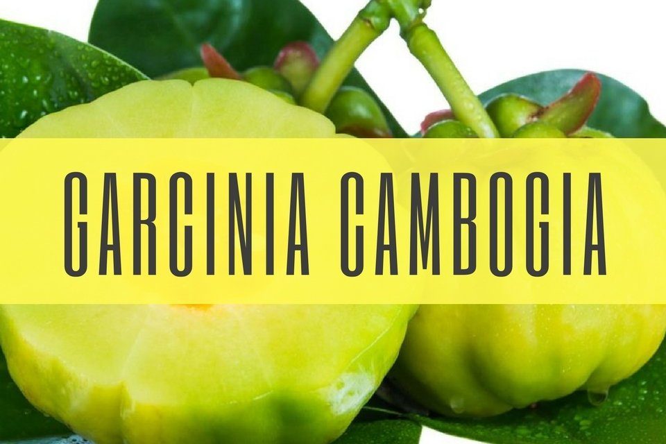 garcinia-Cambogia side effects