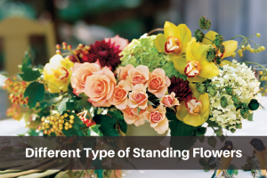 Different type of standing flowers